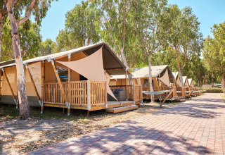 Safari telte med terrasser omgivet af træer på Villatent Outback, solrigt vejr og flisebelagt sti.