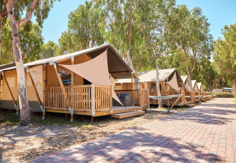 Tiendas safari con terrazas de madera en Villatent Outback, rodeadas de árboles y un camino pavimentado.