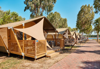 Reihe von Safari-Zelten namens Villatent Outback neben einem Weg, umgeben von Bäumen und Natur.