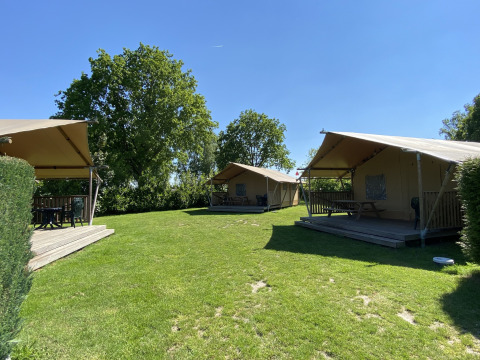 Tres tiendas safari Glamping Deluxe tipo 1 en Holiday Park Duinhoeve, Países Bajos, sobre césped verde.