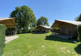 Tres tiendas safari Glamping Deluxe tipo 1 en Holiday Park Duinhoeve, Países Bajos, sobre césped verde.