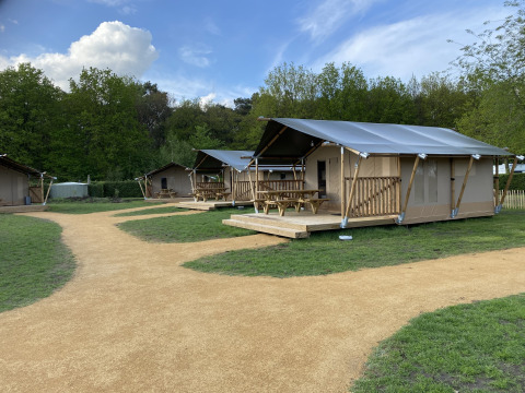 Cabañas Glamping Deluxe tipo 2 en Holiday Park Duinhoeve, Países Bajos, con lujosas tiendas y senderos.