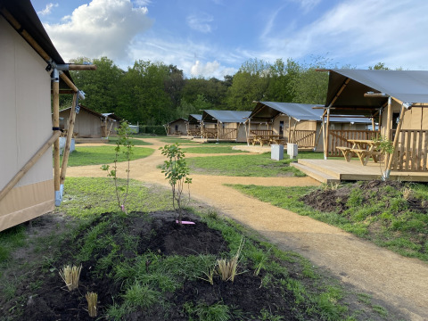 Glamping Deluxe Typ 2 Lodges im Holiday Park Duinhoeve, Niederlande, mit grüner Umgebung.