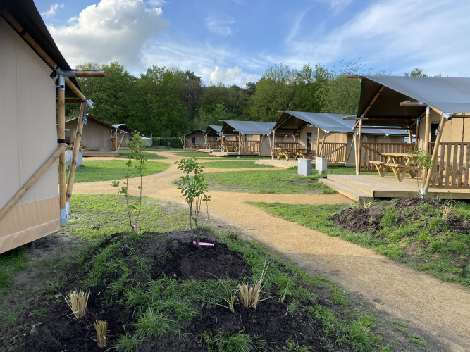 Glamping Deluxe type 2 lodges bij Holiday Park Duinhoeve in Nederland, omringd door natuur.