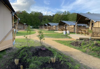 Glamping Deluxe type 2-lodger ved Holiday Park Duinhoeve i Holland, omgivet af natur og træer.