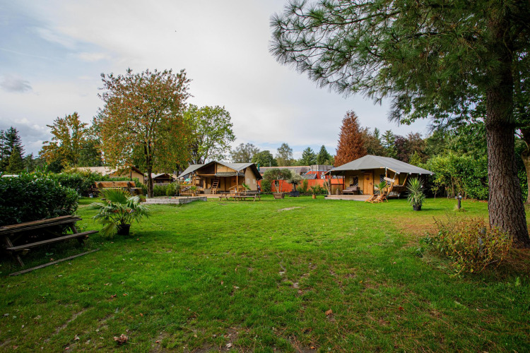 Vista del camping con césped, tiendas safari de lujo y jacuzzi exterior en Camping Vossenberg, Países Bajos.