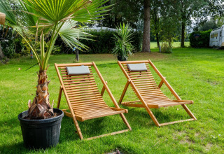 Dos tumbonas de madera junto a una palmera en el césped de Safari tent Cottage Kaa en Camping Vossenberg, Países Bajos.