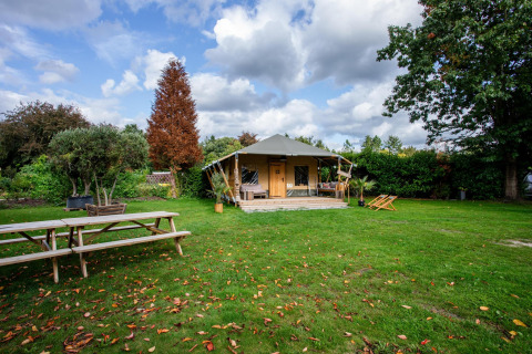 Safaritent Cottage Kaa bij Camping Vossenberg in Nederland, temidden van bomen en een grote grasweide.