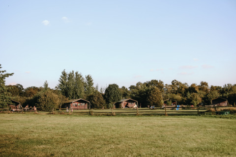 Vista del parque vacacional Feather Down De Kalverweide con cabañas y prados en Overijssel, Países Bajos.