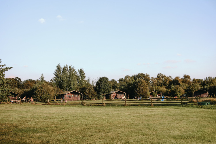 Vue du parc de vacances Feather Down De Kalverweide avec lodges et champs verts en Overijssel, Pays-Bas.