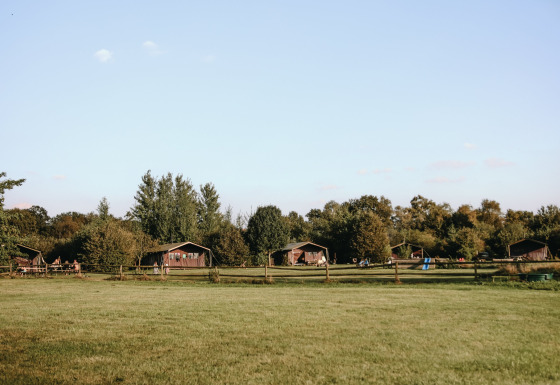 Udsigt over Feather Down De Kalverweide feriepark med hytter og grønne områder i Overijssel, Holland.