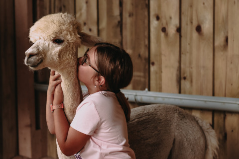 Una niña con gafas abraza y besa una alpaca en un granero en Feather Down Fermette des trois tilleuls, Francia.