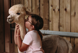 Een kind met een bril geeft een alpaca een knuffel en kus in een stal in Hauts-de-France, Frankrijk.