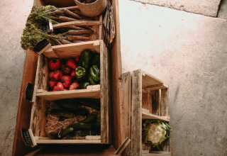 Verse groenten waaronder wortelen, paprika en bloemkool in houten kisten bij een hoeve in Hauts-de-France.