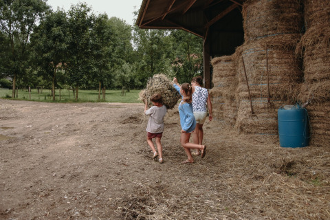 Kinder tragen Heu in eine Scheune auf Feather Down Fermette des trois tilleuls in Hauts-de-France, Frankreich.
