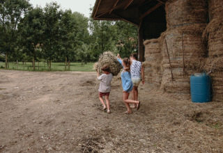 Kinderen dragen hooi in een schuur bij Feather Down Fermette des trois tilleuls in Hauts-de-France, Frankrijk.
