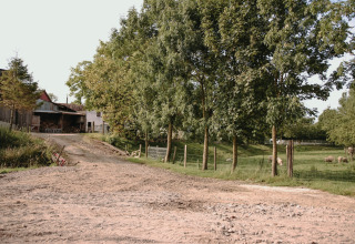 Landelijk beeld met bomen, schapen en hoevegebouwen in Feather Down Fermette des trois tilleuls, Frankrijk.