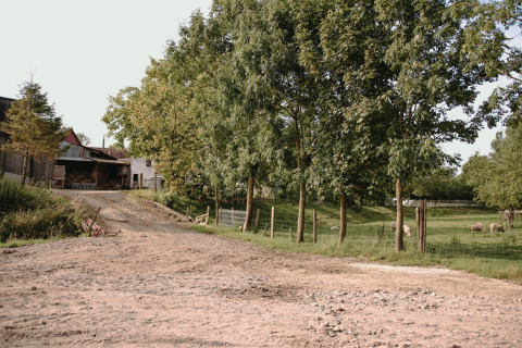 Scenario rurale con alberi, pecore al pascolo e edifici a Feather Down Fermette des trois tilleuls, Francia.