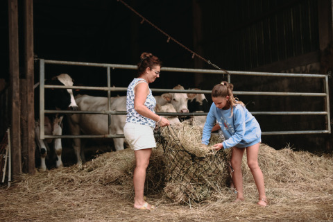 Moeder en dochter werken met hooi op een Franse boerderij, koeien kijken toe vanuit de stal op de achtergrond.