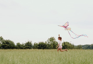 Un bambino corre su un prato facendo volare un aquilone colorato presso la Fermette des trois tilleuls.
