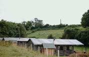 Parque vacacional Feather Down Fermette des trois tilleuls en Hauts-de-France, Francia, con vacas pastando.