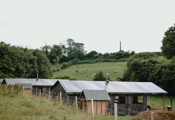 Vakantiepark Feather Down Fermette des trois tilleuls in Hauts-de-France, Frankrijk, met tenten en koeien.