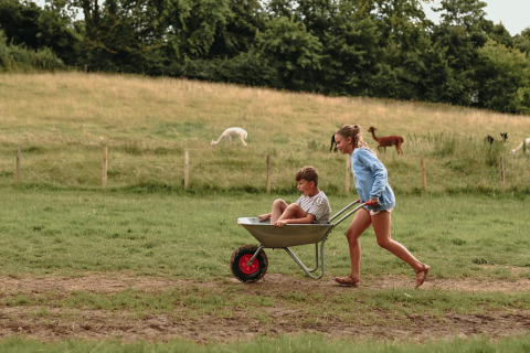Niños juegan con una carretilla en un campo de césped con animales al fondo en Feather Down Fermette des trois tilleuls.