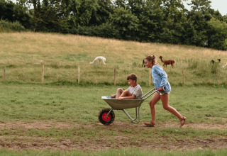 Kinderen spelen met een kruiwagen op een groene weide met dieren op de achtergrond bij Feather Down Fermette des trois tilleuls.