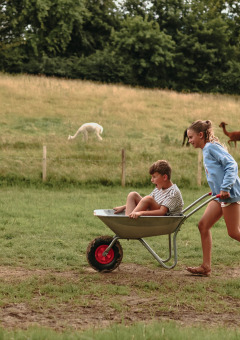 Des enfants jouent avec une brouette sur une prairie avec des animaux en arrière-plan à la Fermette des trois tilleuls.