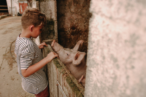 Ragazzo con maglietta a righe accarezza un maiale a Feather Down Fermette des trois tilleuls in Francia.