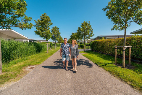 A couple walks down a tree-lined path at Cube la Mer 4 lodge in Schoneveld, the Netherlands, on a sunny day.