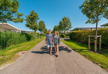 A couple walks down a tree-lined path at Cube la Mer 4 lodge in Schoneveld, the Netherlands, on a sunny day.