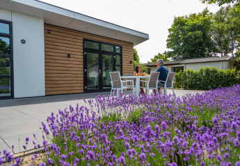 Par sidder ved et udendørs bord i solen foran Deluxe Sauna-hytte på EuroParcs Noordwijkse Duinen.