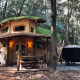 Charmerende Hobbit House-lodge i skoven med græstag, trækonstruktion og udendørs siddeplads.