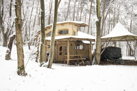 Lodge Hobbit House en Cosy Cabins, bosque nevado de Limburg, Bélgica, rodeado de altos árboles.