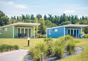 Twee kleurrijke tiny houses op vakantiepark Ackersate in Nederland, omgeven door gras en bomen.