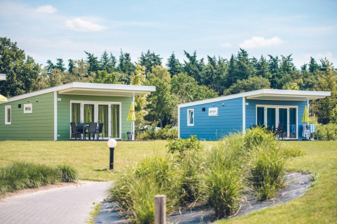 Twee chalets op Holiday park Ackersate in Nederland, met groene grasvelden en bomen eromheen.