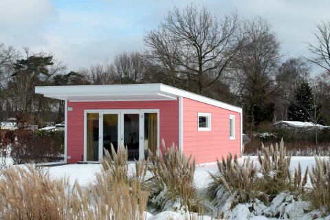 Tiny house Valley Chalet rosa nella neve al Holiday park Ackersate nei Paesi Bassi, circondata da alberi.