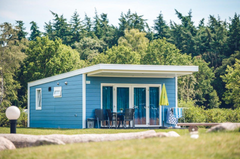 Blauwe tiny house Valley Chalet op vakantiepark Ackersate in Nederland, omgeven door bomen en groen gras.