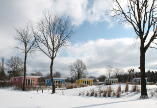 Kleurige tiny houses in besneeuwd landschap bij Holiday park Ackersate, Valley Chalet, Nederland, winter.