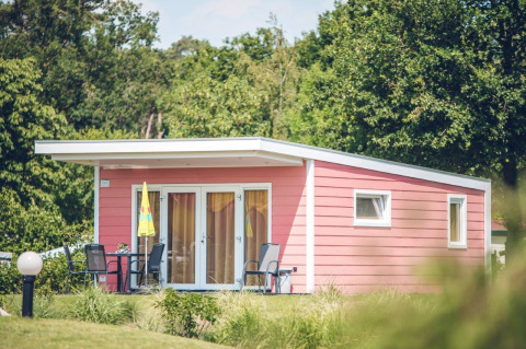 Valley Chalet, a tiny pink house at Holiday Park Ackersate in the Netherlands, surrounded by lush greenery.