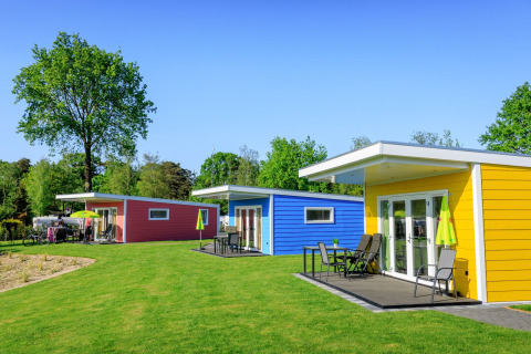 Pequeñas casas coloridas en Holiday Park Ackersate, Países Bajos, rodeadas de césped y árboles verdes altos.