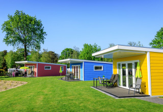 Pequeñas casas coloridas en Holiday Park Ackersate, Países Bajos, rodeadas de césped y árboles verdes altos.