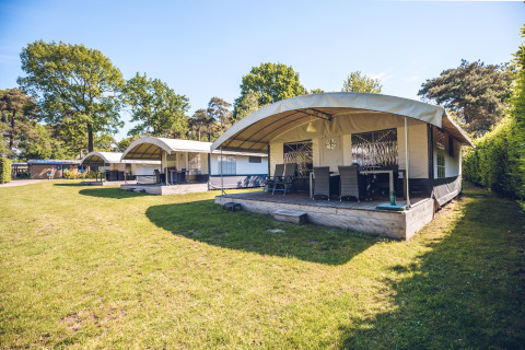 Safari-teltvillas i ferieparken Ackersate i Holland med trædæk og grønne omgivelser på en solrig dag.