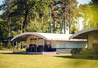 Safari tent villa at Holiday park Ackersate in the Netherlands, surrounded by trees and grassy area.