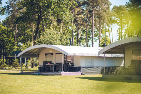 Safaritent bij vakantiepark Ackersate in Nederland, te midden van groen grasveld en hoge bomen.