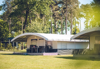 Safaritent Tentvilla in vakantiepark Ackersate in Nederland, omringd door grasveld en hoge bomen.