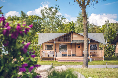 Tenda safari 'Red Deer' all'Holiday park Ackersate nei Paesi Bassi, circondata da alberi e fiori colorati.