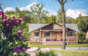 Tienda de safari 'Red Deer' en el parque de vacaciones Ackersate en los Países Bajos, rodeada de naturaleza.