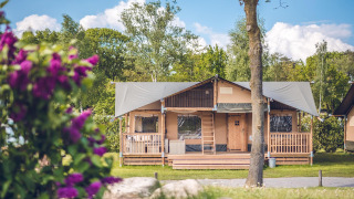 Tenda safari 'Red Deer' all'Holiday park Ackersate nei Paesi Bassi, circondata da alberi e fiori colorati.